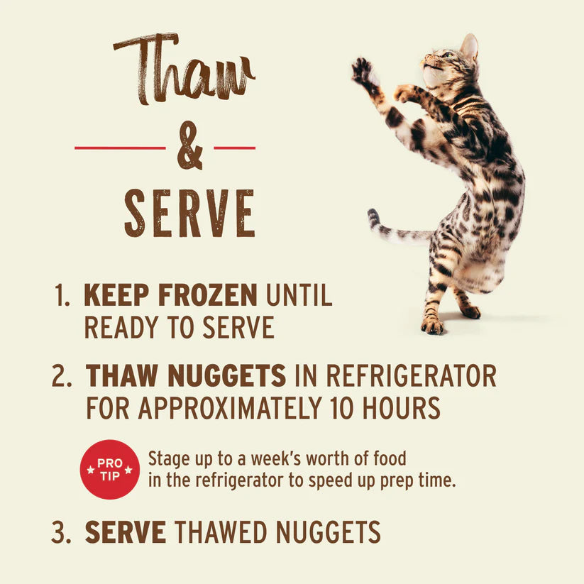 Primal Frozen Chicken & Salmon Formula for Cats: Feeding guide with a leaping Bengal cat illustration alongside thaw and serve instructions for omega-rich, portion-easy nuggets.