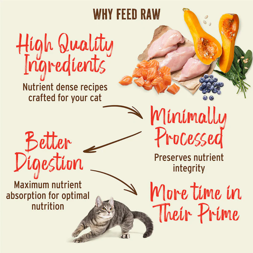 Infographic titled “Why Feed Raw” highlights Primal Frozen Chicken for Dogs with images of raw chicken, salmon, and vegetables, promoting high-quality, minimally processed, digestible ingredients.
