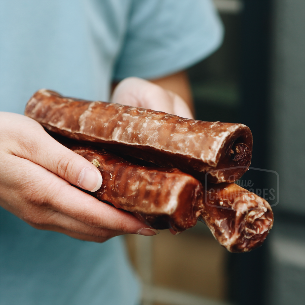 6" Trachea Wrapped with Esophagus Chew