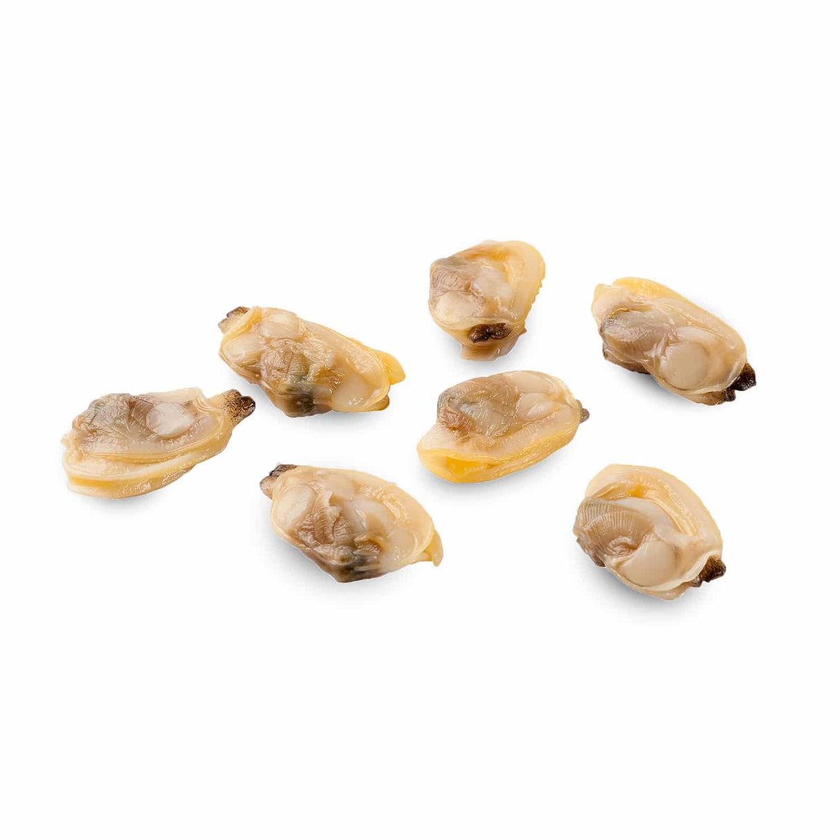 Back 2 Basics Mini Clam Omega Topper