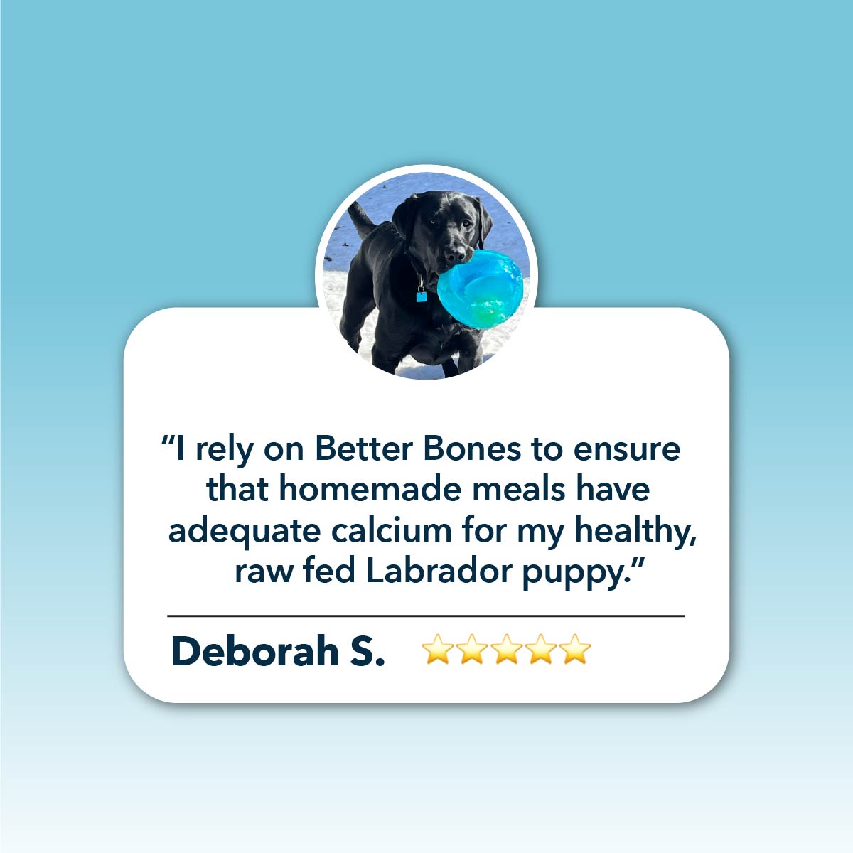 Circular image of a Labrador puppy with a toy, endorsing Four Leaf Rover Better Bones - Dried Bone for Homemade Diets for balanced calcium and phosphorus in meals.