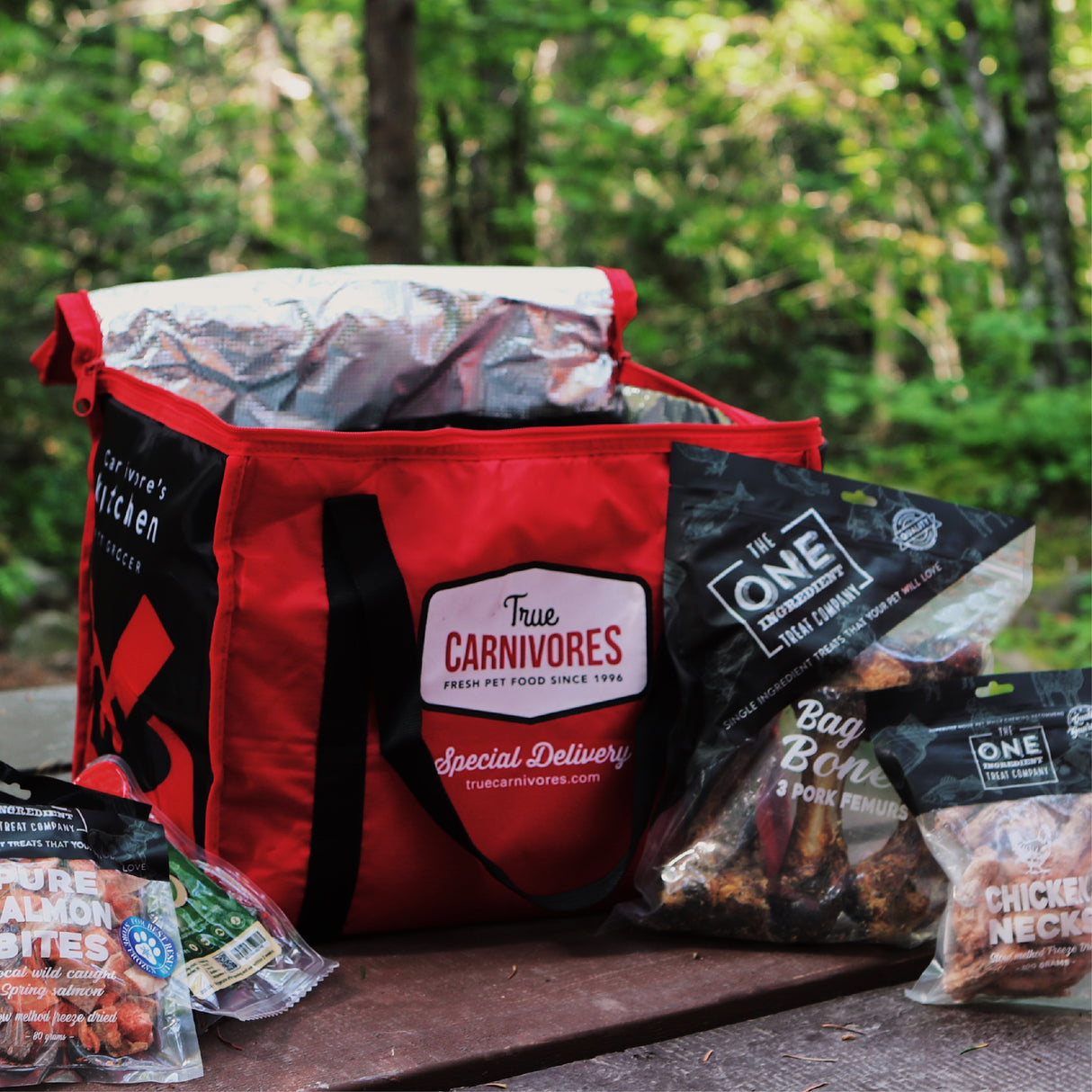 Insulated Freezer Bag