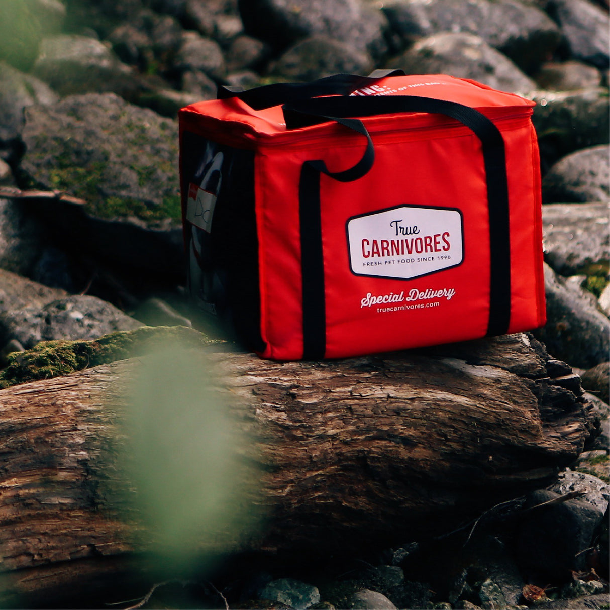 Insulated Freezer Bag