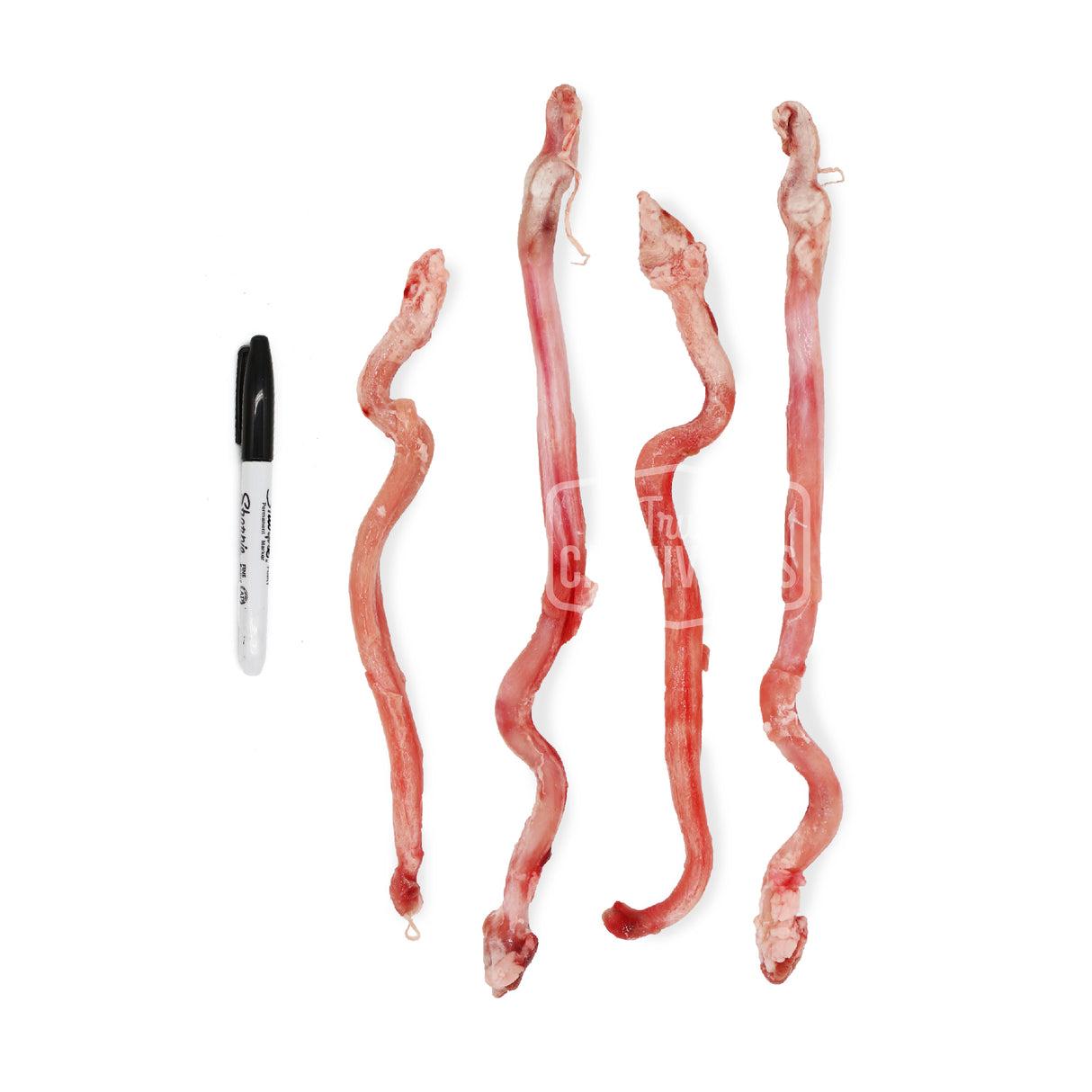 Back 2 Basics Frozen Lamb Bully Sticks 5 Pack