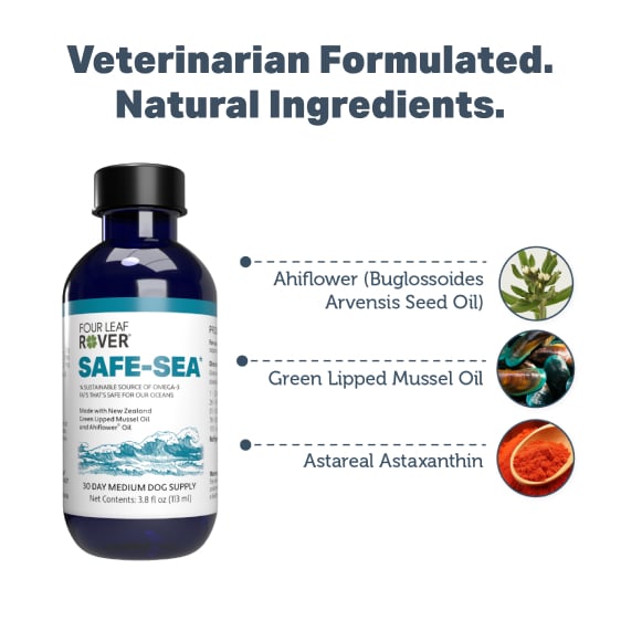 Four Leaf Rover Safe-Sea omega-3 supplement for dogs, featuring a 3.8 fl oz bottle, highlights Ahiflower, Green-Lipped Mussel Oil, and AstaRealĀ® Astaxanthin.