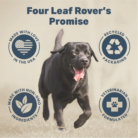 Four Leaf Rover Safe-Sea - Green Lipped Mussel Oil: Black Labrador running, surrounded by badges highlighting USA-made, recycled packaging, non-GMO ingredients, veterinarian formulated.
