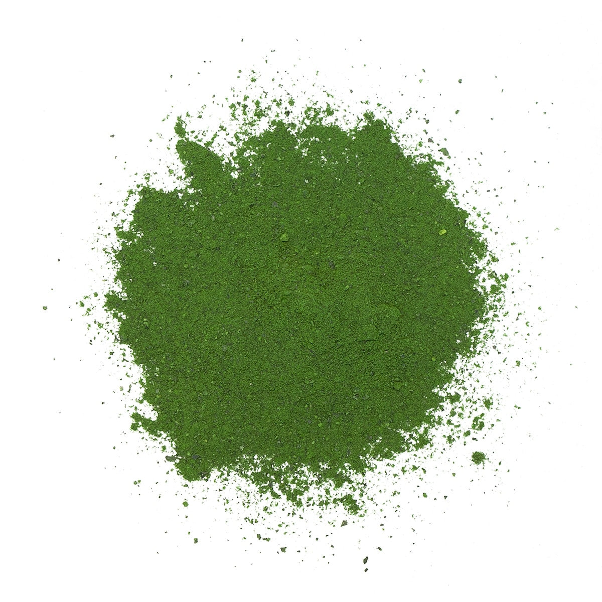 Adored Beast Phyto Synergy bright green powder, supporting animal health with marine phytoplankton; available in 15g or 32g bottles, sustainably produced in Nova Scotia.