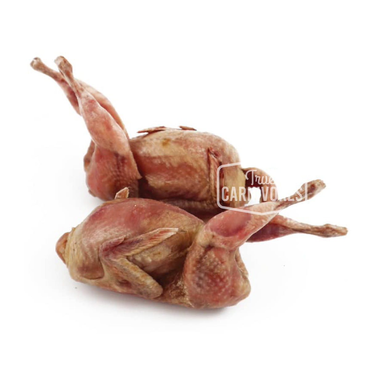 Prepared Quail without Feathers (3-Pack)