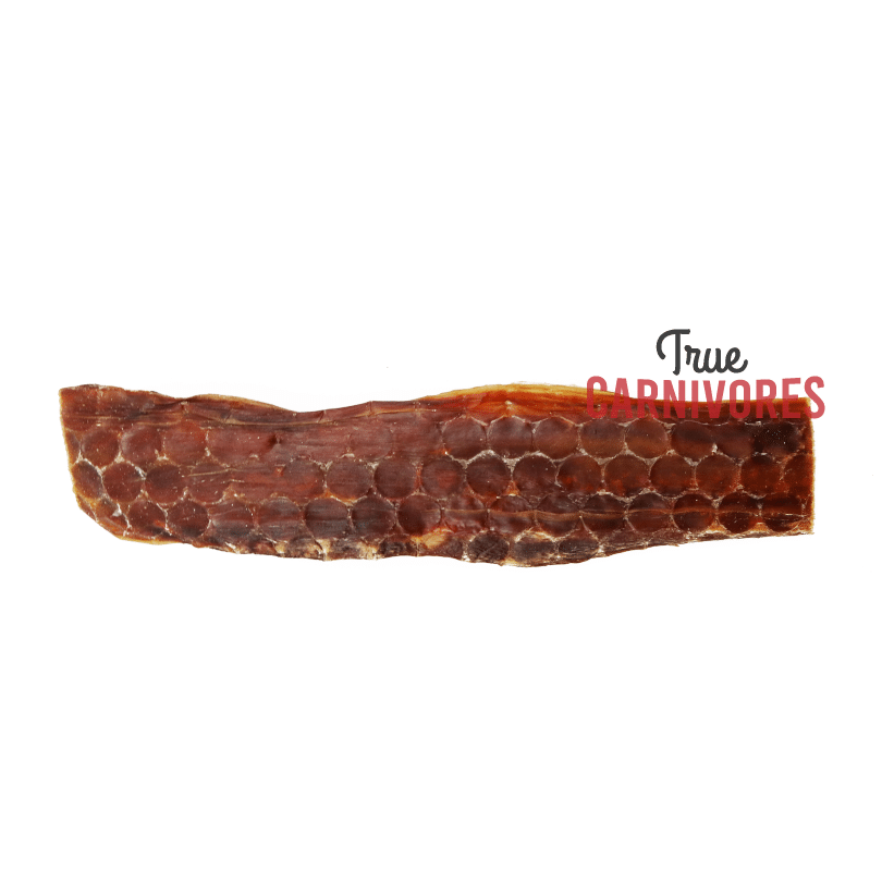 One Ingredient 12 Inch Beef Jerky Strip, a single piece of dried beef esophagus, labeled True Carnivores, ideal for dogs' joint health and easy chewing.