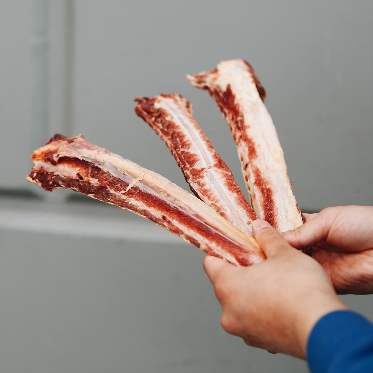 Raw Bison Flat Rib