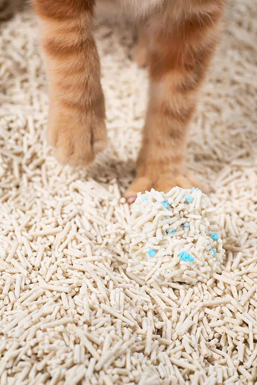 Pidan Tofu Litter Original 2.4kg shows a ginger cat's paws on light-colored litter with blue granules, highlighting its eco-friendly, health-monitoring features.