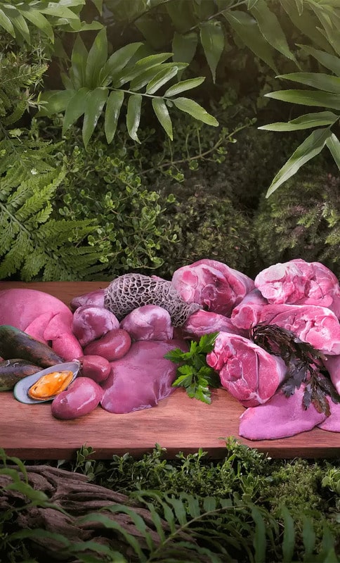 Ziwi Peak Steam Dried Chicken with Orchard Fruits on rustic board with raw offal and herbs, set against a forest backdrop, highlighting its natural, premium ingredients.
