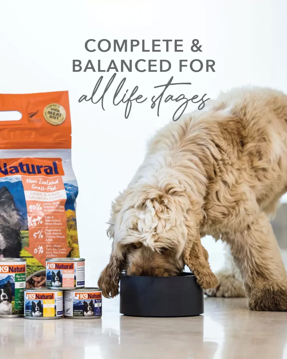 K9 Natural Canned Food for Dogs with a curly-coated dog eating from a bowl; visible lamb and salmon dry food bag and wet food tins beside it.