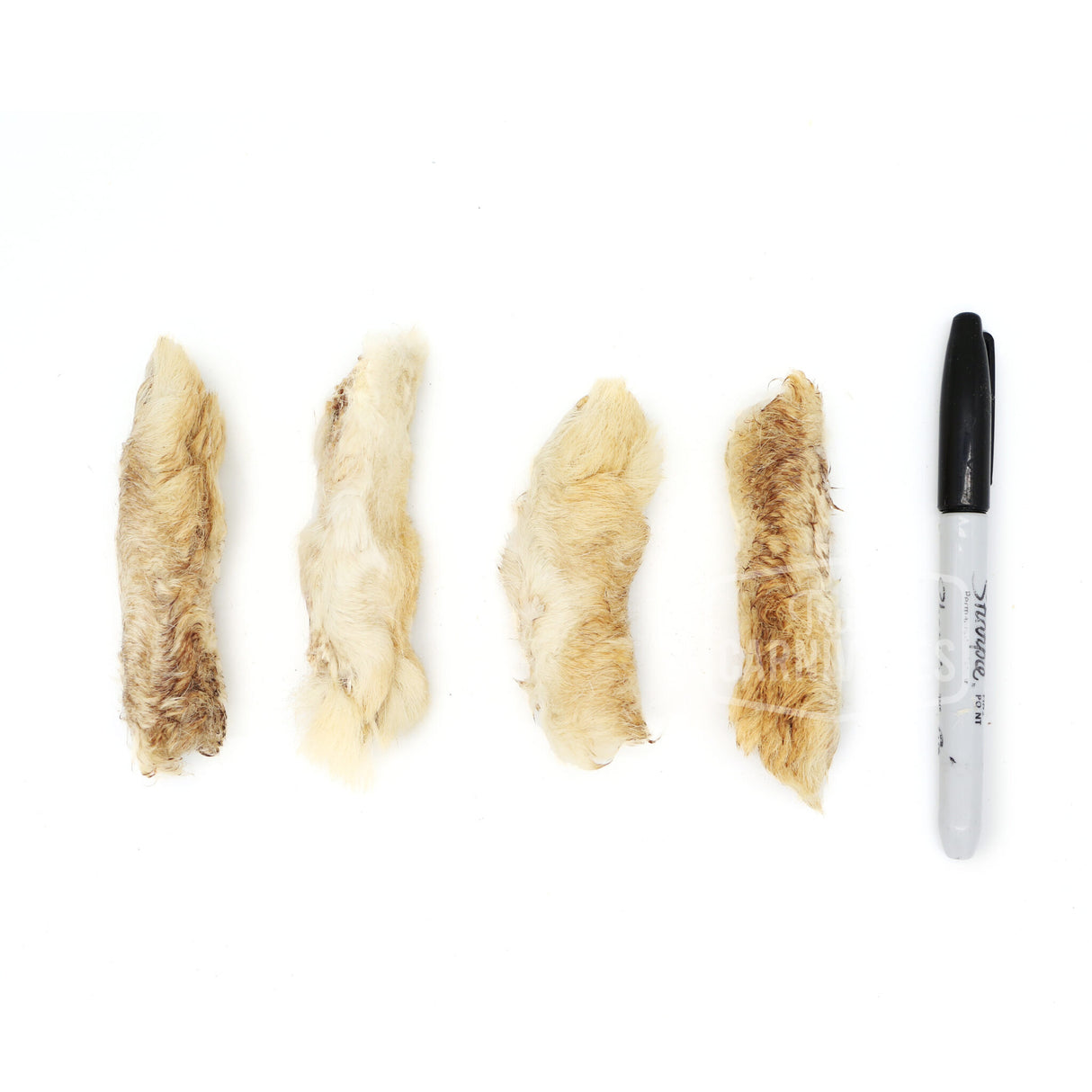 One Ingredient Rabbit Feet 100g *New Size*