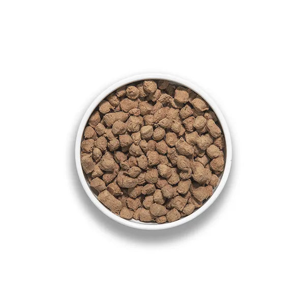 Overhead view of Rawbble Turkey Recipe for Dogs, featuring dry, brown, freeze-dried kibble pieces in a white bowl, ideal for serving dry or rehydrated.