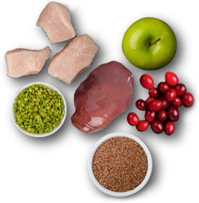 Grand Cru Turkey for Dogs