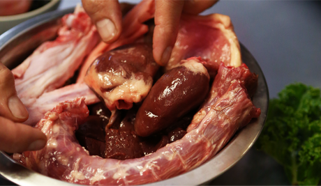 Best High-Protein Dog Food in Canada: Why Raw Diets Lead the Pack