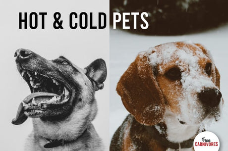 hot and cold pets||