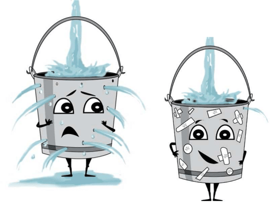 |||Adored Beast Gut Soothe