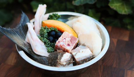 Raw Dog Food: Benefits, Best Raw Dog Food Brands & How to Transition Your Dog