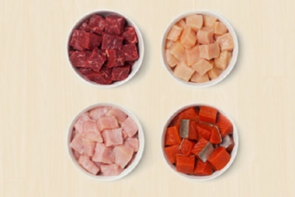 |Dog Food Guide|||||