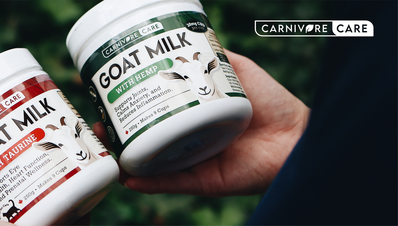 Carnivore Care
