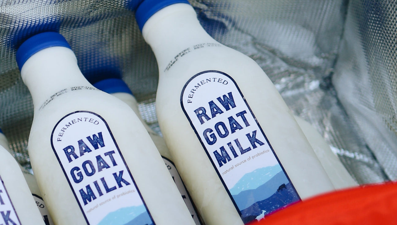 Digestive & Gut Health for Dogs