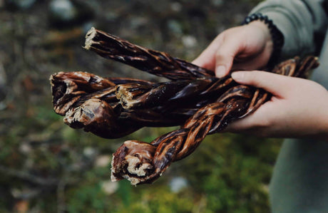 Hand holding 12 Braided Beef Chomper Bulk, twisted dried beef esophagus with fibrous texture, ideal for gentle chewing and promoting dental health.