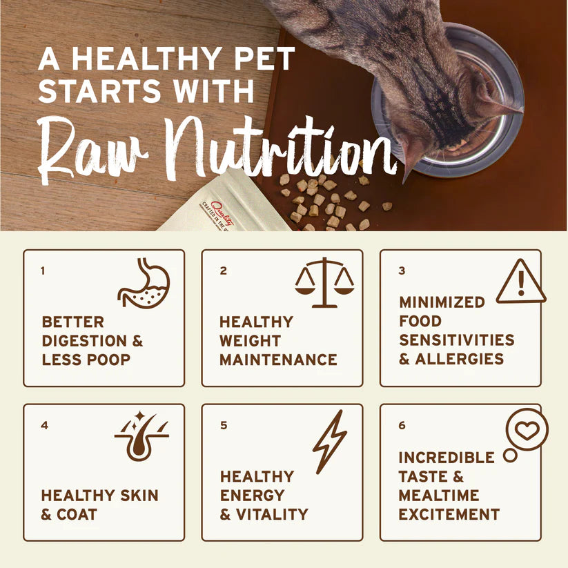 Cat eating from bowl with headline “A HEALTHY PET STARTS WITH Raw Nutrition.” Highlights Primal Frozen Chicken & Salmon Formula for Cats benefits like digestion, energy, and taste.