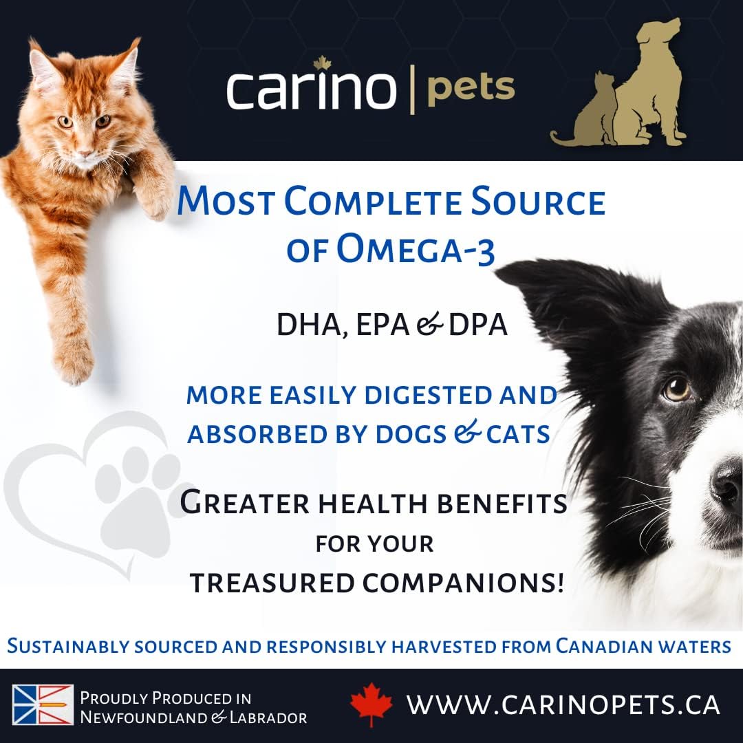 Carino Pets Omega 3 Harp Seal Oil graphic features a cat and dog, highlighting omega-3 benefits, sustainability, and Canadian production.