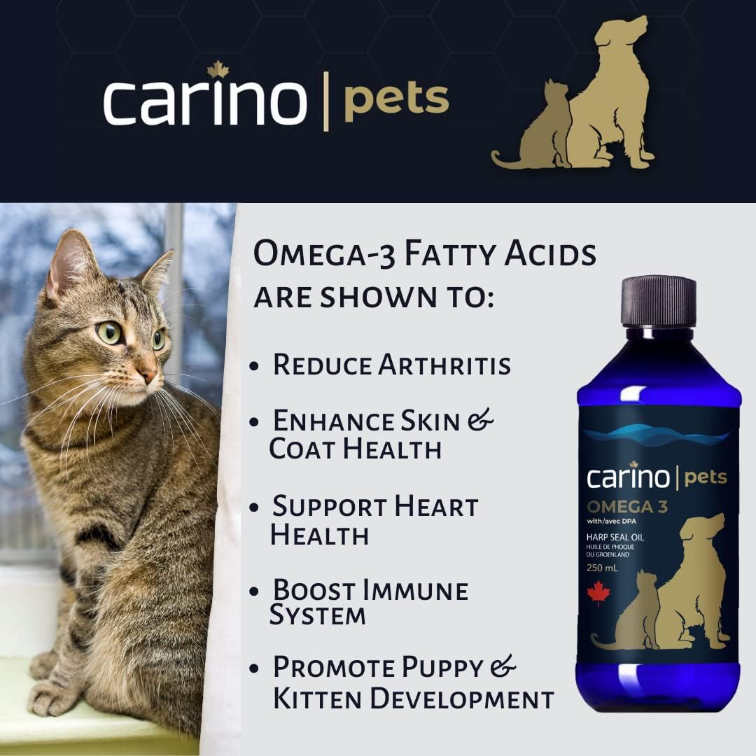 Carino Pets Omega 3 Harp Seal Oil supplement, 250 mL bottle, shown with benefits like enhancing pet health, next to a tabby cat by a window.