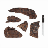 One Ingredient Bison Lung Snaps