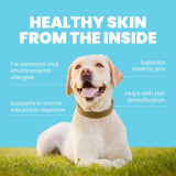 Four Leaf Rover Harmony - Natural Allergy Relief and Healthy Skin Support, featuring a happy Labrador with benefits like allergy relief and skin detoxification outlined.