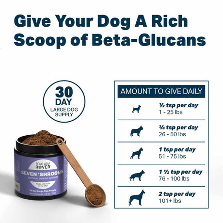 Four Leaf Rover Seven Shrooms - Organic Mushroom Mix for Natural Immune Support; jar, wooden scoop with powder, dosing chart, and product benefits highlighted.
