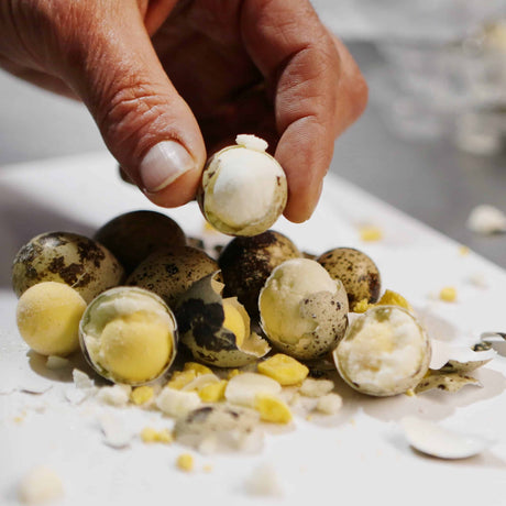 Freeze-Dried Quail Eggs 18 pack: Close-up of cracked, peeled eggs with foamy white interiors and bright yolks, showcasing their nutritious, shelf-stable, freeze-dried presentation.