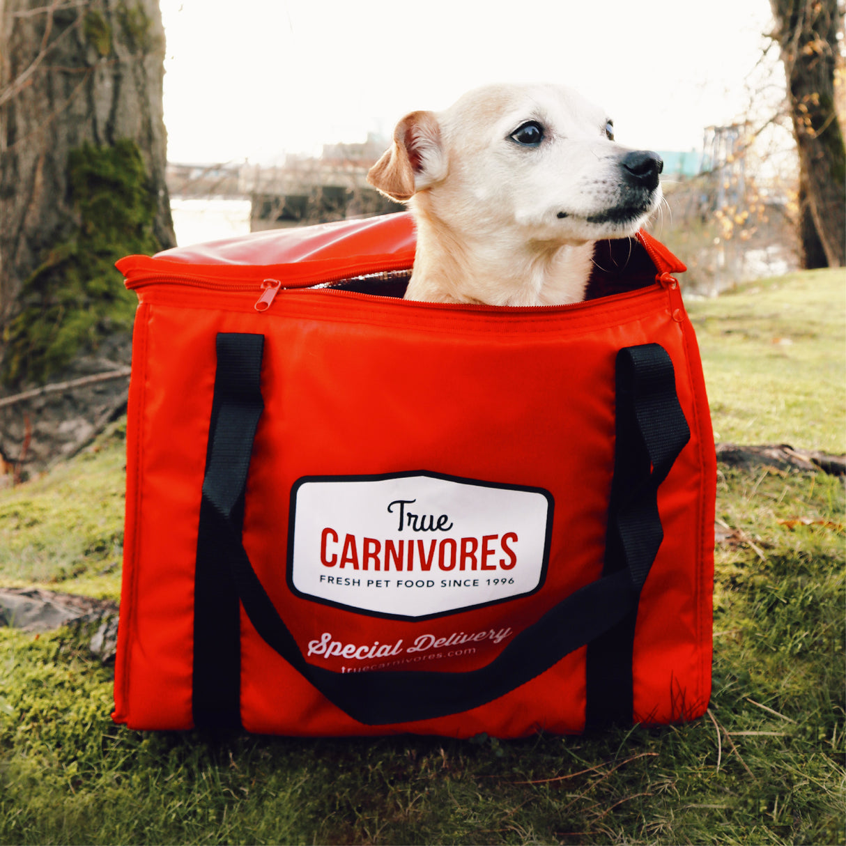 Insulated Freezer Bag