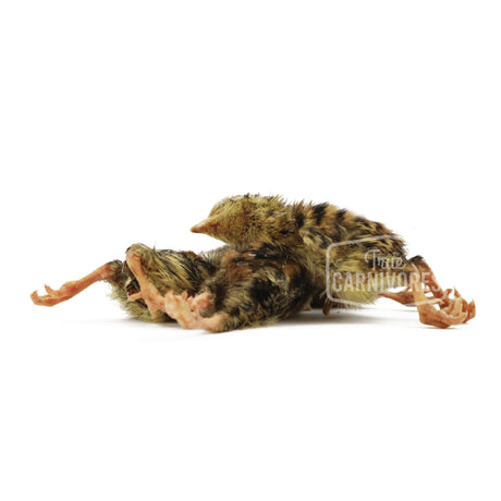Back 2 Basics Small Frozen Quail Chicklets (6 Pack)