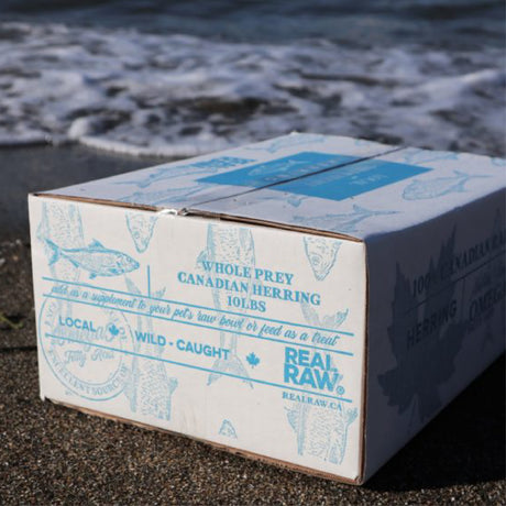 Back 2 Basics Bulk BC Whole Herring