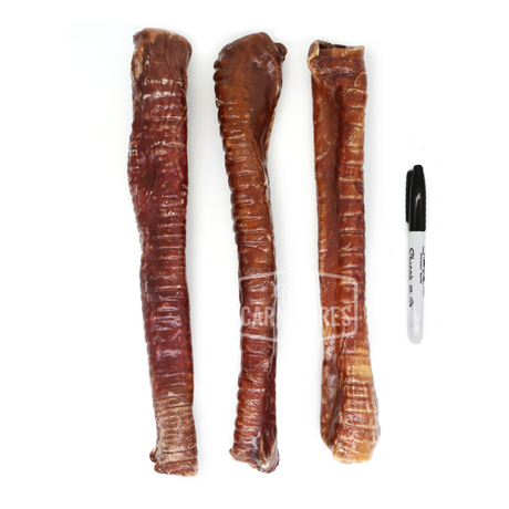 12" Trachea Wrapped with Esophagus Chew
