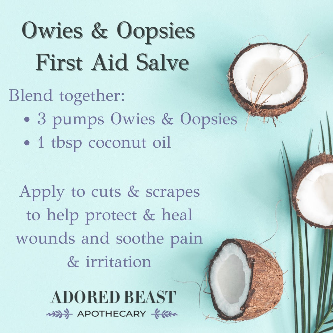 Adored Beast Skin HEALth Spray recipe card featuring halved coconuts; includes usage instructions for cuts and scrapes, promoting healing and soothing for pets.