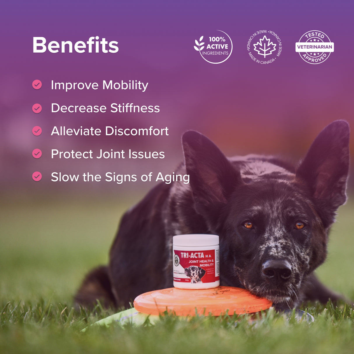 Tri-Acta Maximum Strength Joint Health & Mobility