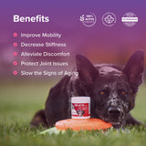 Tri-Acta Maximum Strength Joint Health & Mobility