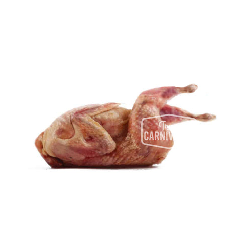Prepared Quail without Feathers (3-Pack)