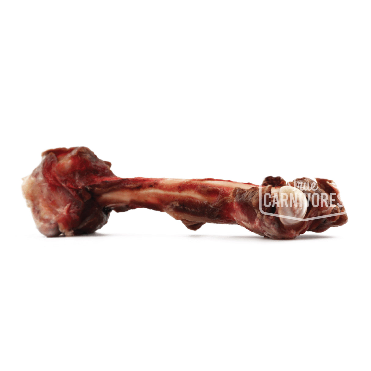 Raw Kangaroo Femur