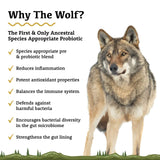 The Wolf Species Appropriate Liquid Probiotic - Roots by Adored Beast: Marketing graphic features benefits list and wolf image, highlighting its ancestral probiotic blend for dogs.