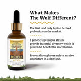 The Wolf Species Appropriate Liquid Probiotic by ROOTS features a dropper bottle with tree motif, emphasizing lupine-derived probiotics and turkey tail prebiotic benefits for dogs.