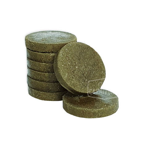 Carnivora Green Beef Tripe