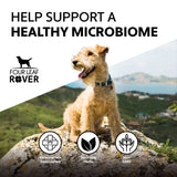 Four Leaf Rover Yeast Guard - Anti-Fungal Herbs: Image shows a happy dog on a hill, highlighting microbiome support with natural, non-GMO ingredients and veterinary formulation.