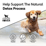 Four Leaf Rover Protect - Soil-Based Probiotics + Prebiotics graphic featuring a joyful Golden Retriever in water, highlighting gut and brain support benefits through soil-based probiotics.