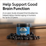 Four Leaf Rover Protect - Soil-Based Probiotics + Prebiotics jar on wood with blueberries; promotes brain and gut health for dogs, supports detoxification.
